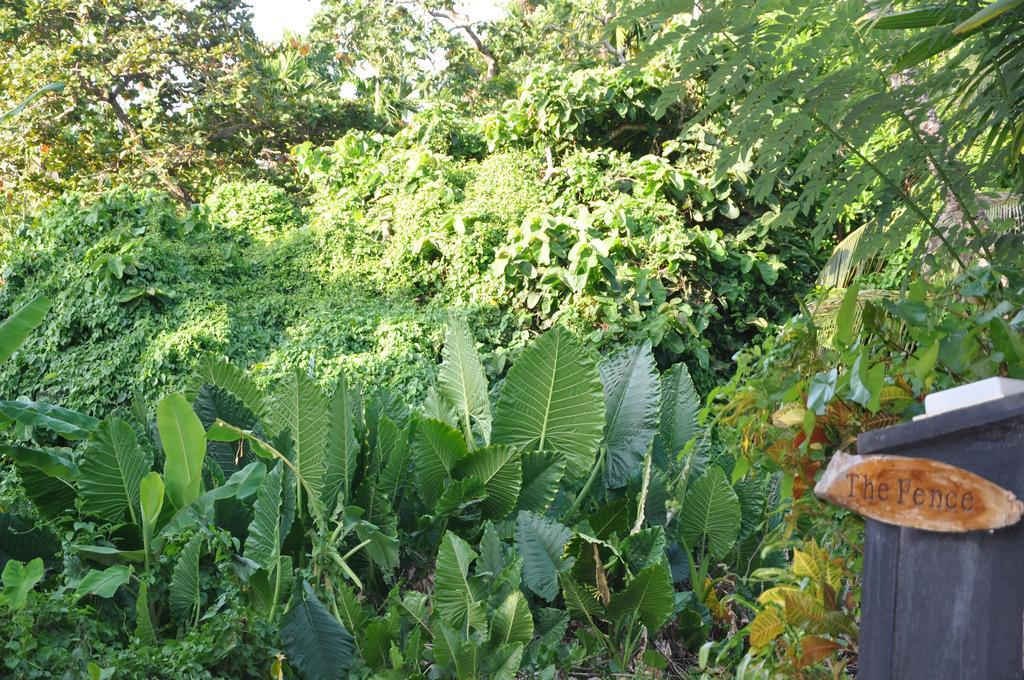 The Fence Bed and Breakfast Bentota Exteriör bild
